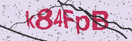 Codice captcha