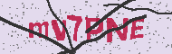 Codice captcha