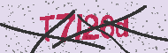 Codice captcha