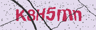 Codice captcha