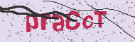 Codice captcha
