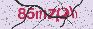 Codice captcha