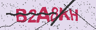 Codice captcha