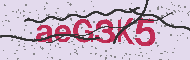Codice captcha
