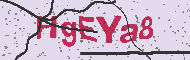 Codice captcha
