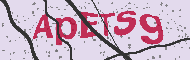 Codice captcha