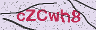 Codice captcha
