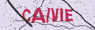 Codice captcha