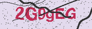 Codice captcha